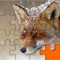 Wild Animals Jigsaw Free -  Forge The Picture From Scrambled Puzzle Pieces