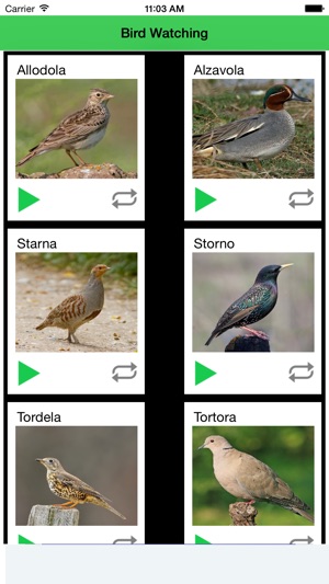 Richiamo Uccelli Bird Watching(圖1)-速報App