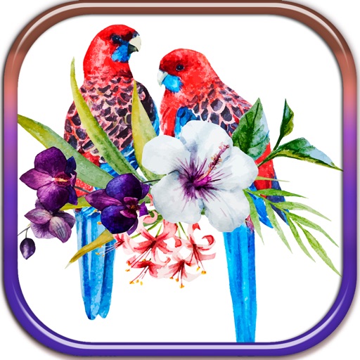 Spring Birds Playing Slots - FREE Slot Game King of Las Vegas Casino icon