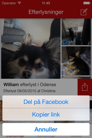 Hunde Efterlysning screenshot 3