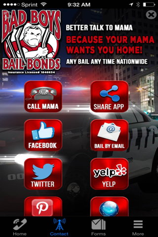 Bad Boys Bail Bonds screenshot 2