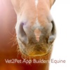 V2P Equine