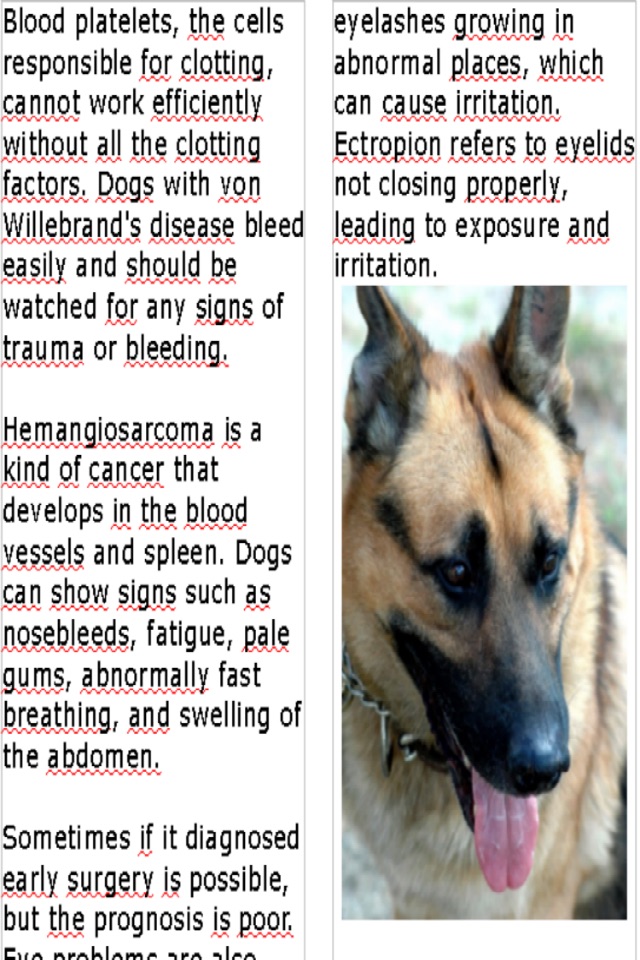 Shepherd's:German Shepherd Magazine screenshot 4