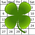 The Irish Week