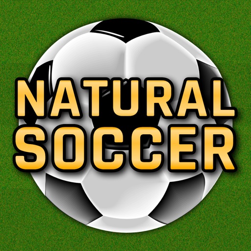 Natural Soccer Icon