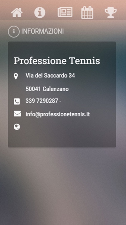 Professione Tennis screenshot-4