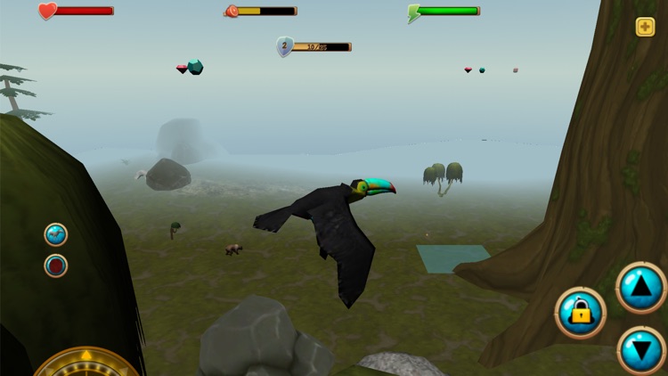 Toucan Simulator 3D