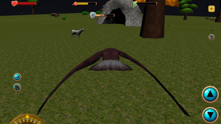 Bald Eagle Simulator