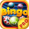 Bingo Meca PRO - Train Your Casino Game and Daubers Skill for FREE !