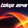 Tokyo 2048 Roller Coaster