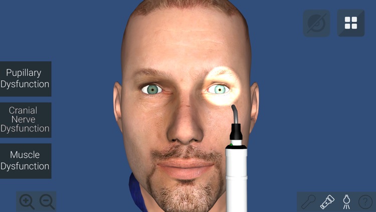 Anu Reality EyeSim Mobile