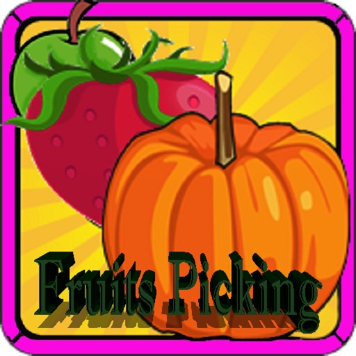 Fruits Picking - Harvest day icon