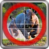 Wild Animal Hunter 2015:Survive the fight against furious mammals-run towards the target fast