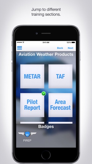 Aviation Weather Reports and Forecasts(圖5)-速報App