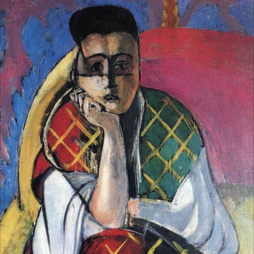 Henri Matisse Collection icon