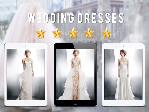 Wedding Dress Ideas - Luxury Collection for iPad screenshot 3