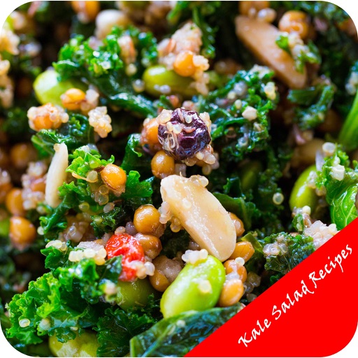 Kale Salad Recipes icon