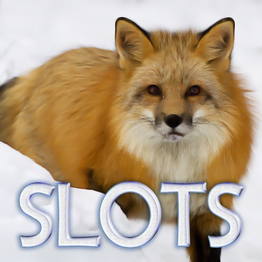 Winter Animals Slots - FREE Las Vegas Casino Premium Edition