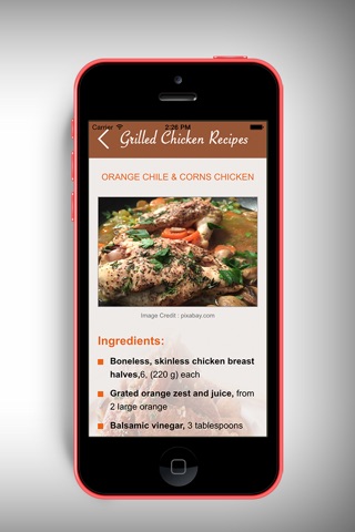 Grilled Chicken Recipes screenshot 4