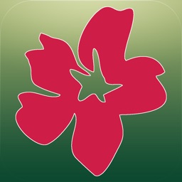 Mobile Florist: Flower Delivery - Order & Send Fresh Flowers from Anywhere using Local Florists!