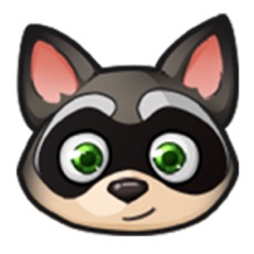 Activities of Roll My Raccoon