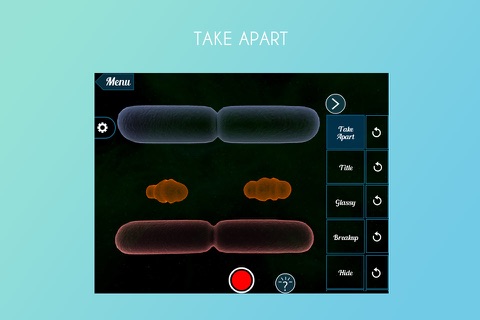 Dividing Bacterium 3D screenshot 2