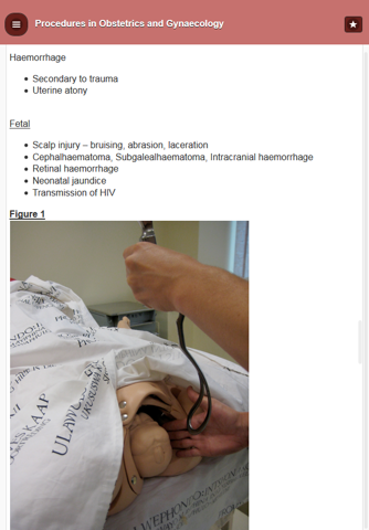 Procedures in O&G screenshot 2