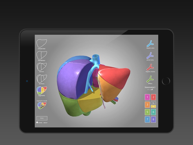 Surgical Anatomy of the Liver screenshot-4