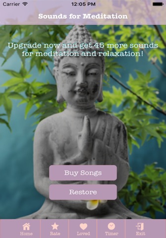 Sounds for Meditation screenshot 3