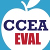 CCEA NEPF Evaluation Assistant