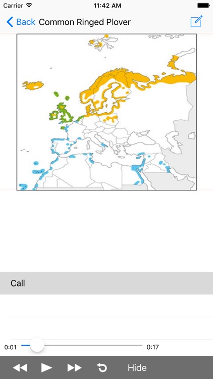 Benelux Bird Identification