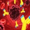 Human Biology : Immune System Quiz