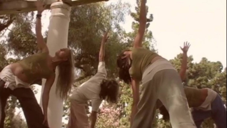Yoga Therapy for Fertility-Laura Hawes-VideoApp