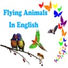 Flying AnimalsIn English