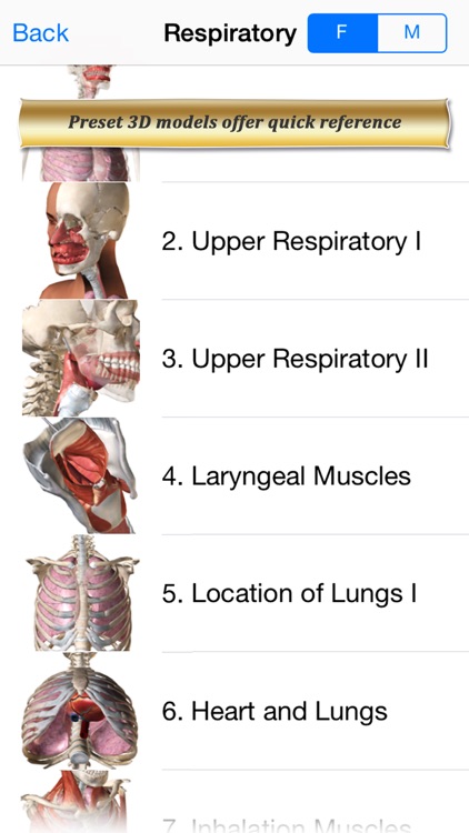 Respiratory Anatomy Atlas: Essential Reference for Students and Healthcare Professionals