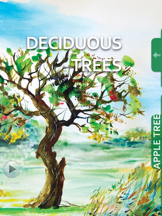 Watercolour - interactive book will help to develop your basic skills in Watercolor. screenshot-4