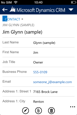 Dynamics CRM for phones express screenshot 4