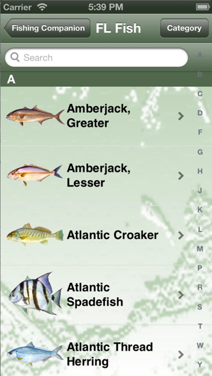 NC Saltwater Fishing Companion