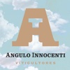 Angulo Innocenti Wines