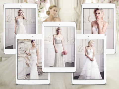 Wedding Dress Ideas for Bridal - iPad Version screenshot 2