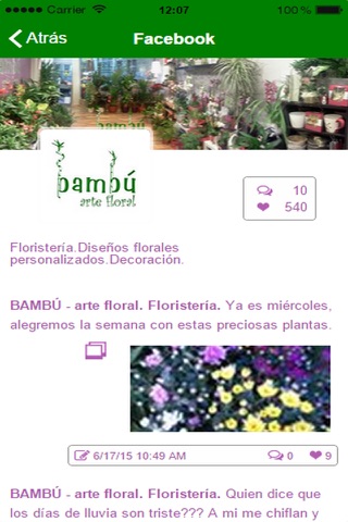 Bambu arte floral screenshot 2