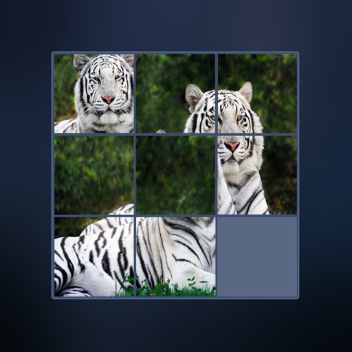 Puzzle Animal In Watch iOS App