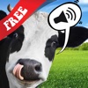 Free Sound Game Farm Animals Photo