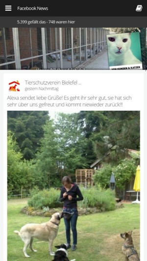 Tierschutzverein Bielefeld(圖3)-速報App