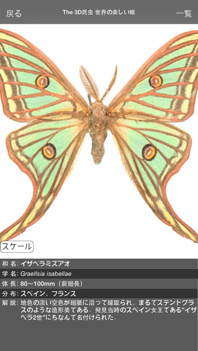 The 3D昆虫 III screenshot1