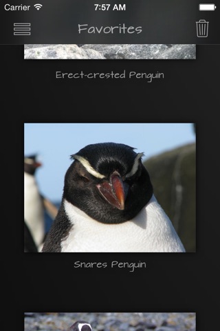 Penguins Collection Pro screenshot 2