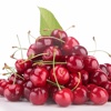 CherryPLUS