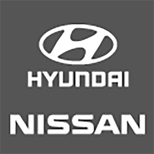 Universal Nissan Hyundai Icon