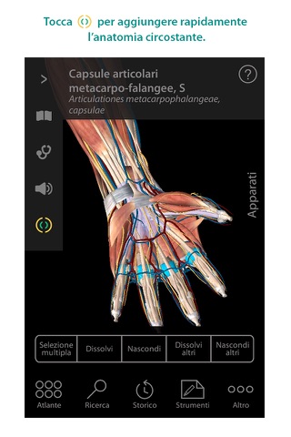 Human Anatomy Atlas – 3D Anatomical Model of the Human Body screenshot 2