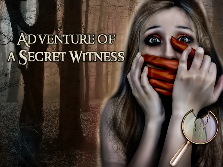 Adventure of Secret Witness - Hidden Objects